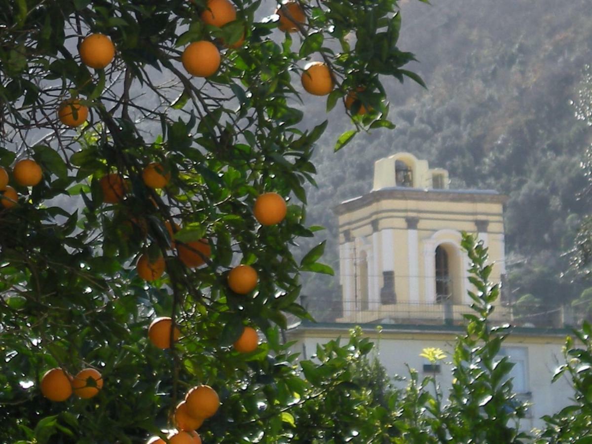 Ferienwohnung Casa De Angelis Orange & Blue Sant'Agnello Exterior foto